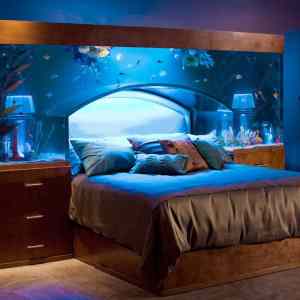 Obrázek 'fish tank bedroom'