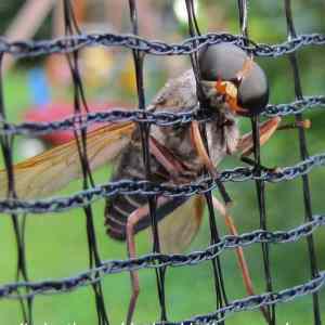 Obrázek 'fly-trampoline'