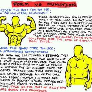 Obrázek 'form vs function'