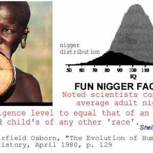 Obrázek 'fun nigger fact'