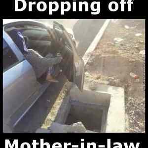 Obrázek 'funny-pictures-dropping-of-mother-in-law'