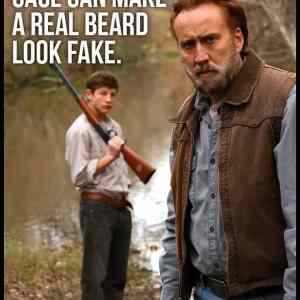 Obrázek 'funny-pictures-nicolas-cage-fake-beard'