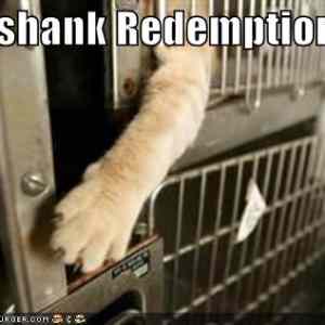 Obrázek 'funny-pictures-pawshank-redemption'