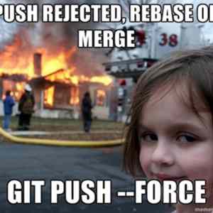 Obrázek 'git push --force'