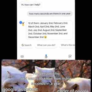 Obrázek 'google assistant trolling'