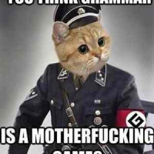 Obrázek 'grammar nazi cat'