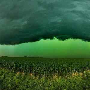 Obrázek 'green corn refraction from very large hail stones falling from the sky in Siu...'