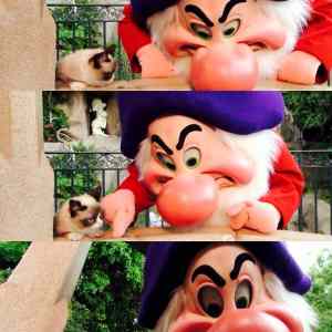 Obrázek 'grumpy cat at Disney Land'