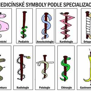 Obrázek 'hadi v medicine'