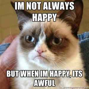 Obrázek 'happy grumpy cat'