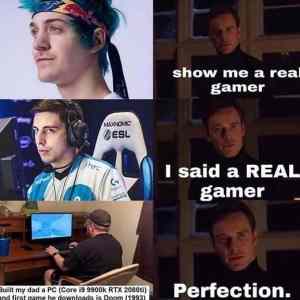 Obrázek 'hardcore real gamer'