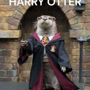 Obrázek 'harry otter'