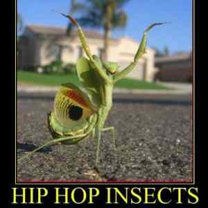 Obrázek 'hiphop bug'