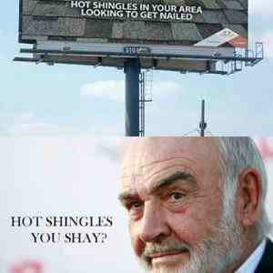 Obrázek 'hot shingles'