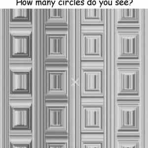 Obrázek 'how many circles do you see'