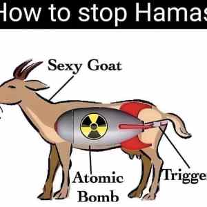 Obrázek 'how to stop Hamas'