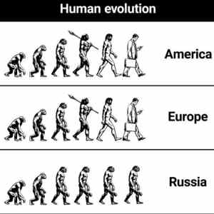 Obrázek 'human evolution'