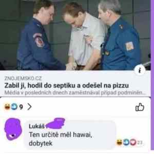 Obrázek 'humusak jeden'