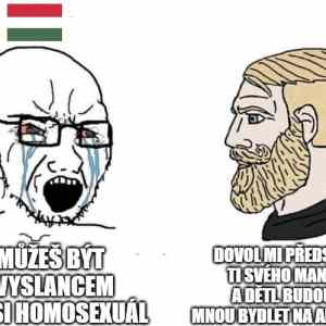 Obrázek 'hungary soyboys'