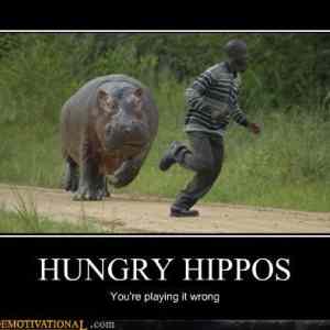 Obrázek 'hungry hippos'
