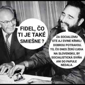 Obrázek 'husak fidel'