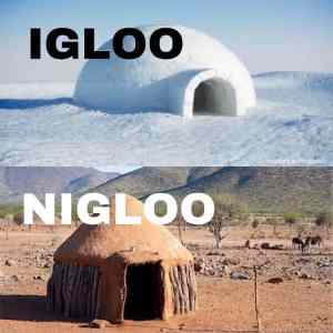 Obrázek 'igloo nigloo'