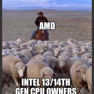 Obrázek 'intel vs amd'