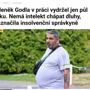 Obrázek 'intelekt chybi'