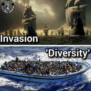 Obrázek 'invasion diversity'