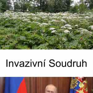 Obrázek 'invazivni'