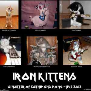 Obrázek 'iron kittens'