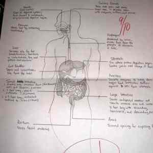 Obrázek 'is there something wrong miss teacher'