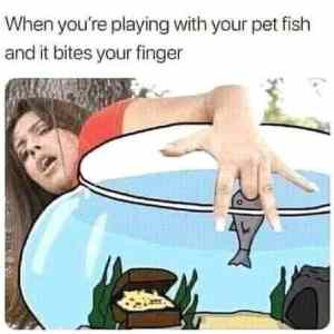 Obrázek 'it bites finger'