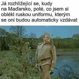 Obrázek 'jak si ve ww2 zachranit kejhak'