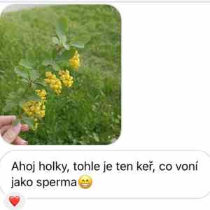 Obrázek 'jako sperma'