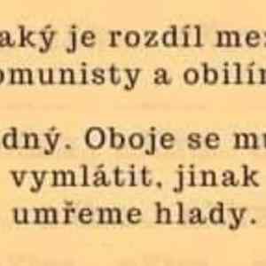 Obrázek 'jaky je rozdil'