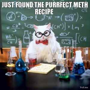 Obrázek 'just-found-the-purrfect-meth-recipe'