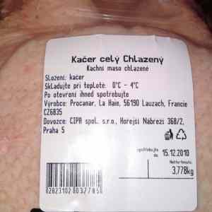 Obrázek 'kacer'