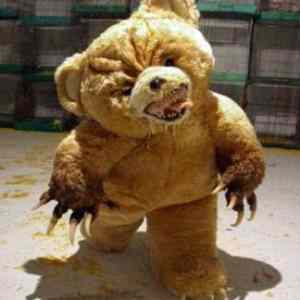 Obrázek 'killer teddy bear'