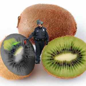 Obrázek 'kiwi cop'