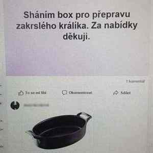 Obrázek 'kralibox'