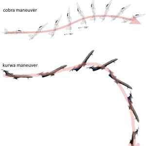 Obrázek 'kurewa manevuer'