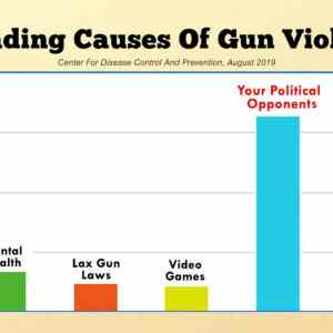 Obrázek 'leading causes of gun violence'