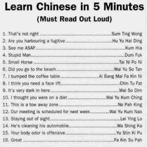 Obrázek 'learn chinese in 5 minutes'