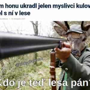 Obrázek 'lesa pan'