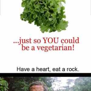 Obrázek 'lettuce'