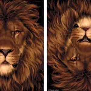 Obrázek 'lev nebo kralik'