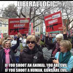 Obrázek 'libtard-logic'