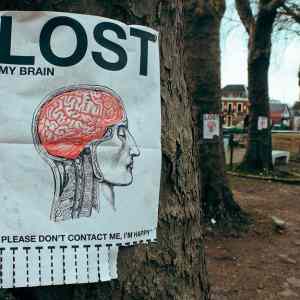 Obrázek 'lost brain'
