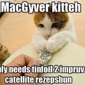 Obrázek 'macgyver kitteh'